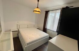 Apartament 2 camere Petfrendly, Aer conditionat, zona Maestro