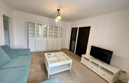 Apartament 2 camere Petfrendly, Aer conditionat, zona Maestro