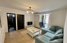 Apartament 2 camere Petfrendly, Aer conditionat, zona Maestro