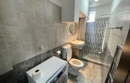 Apartament 2 camere Petfrendly, Aer conditionat, zona Maestro