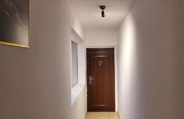 Penthouse 2 camere, 209 mp totali - Cornitoiu - zona Satina