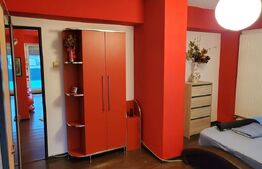 Penthouse 2 camere, 209 mp totali - Cornitoiu - zona Satina