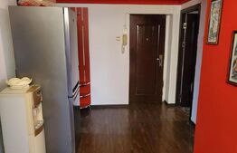 Penthouse 2 camere, 209 mp totali - Cornitoiu - zona Satina