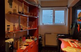 Penthouse 2 camere, 209 mp totali - Cornitoiu - zona Satina