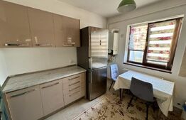 Apartament 2 camere, parcare privată, zonă centrală, Campia Islaz