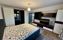 Apartament 2 camere, parcare privată, zonă centrală, Campia Islaz