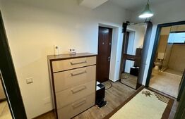 Apartament 2 camere, parcare privată, zonă centrală, Campia Islaz