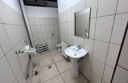 Spatiu comercial , 290 mp, demisol foarte luminos, zona Billa