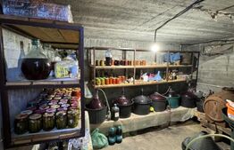 Casa S+P+1E Preajba, 229 mp utili, 600 mp teren 