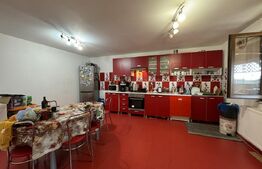 Casa S+P+1E Preajba, 229 mp utili, 600 mp teren 