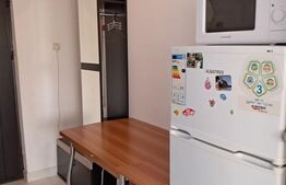 Garsonieră mobilată și utilată, dotată cu AC, situată pe Calea București 