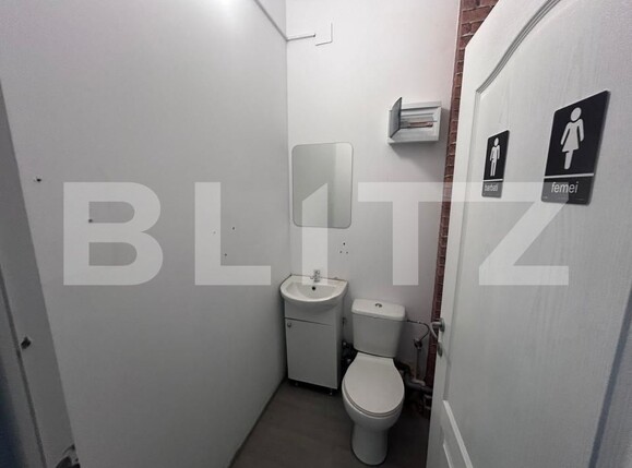Spațiu comercial de închiriat Cornitoiu - 159746SIC | BLITZ Craiova | Poza4