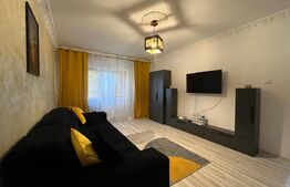 Apartament cu 2 camere, modern, prima închiriere, etaj 3, Brazda lui Novac