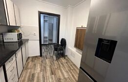 Apartament cu 2 camere, modern, prima închiriere, etaj 3, Brazda lui Novac