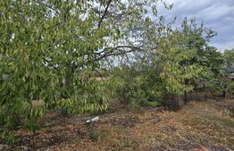 Teren 2000 mp, front de 17 ml toate utilitatile.