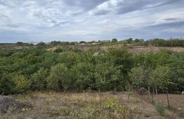 Teren 2000 mp, front de 17 ml toate utilitatile.