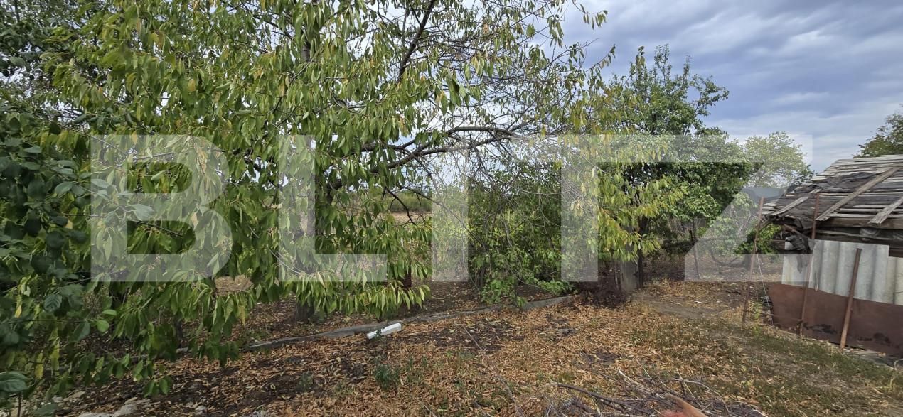 Teren de vânzare Carcea  - 159823TV | BLITZ Craiova | Poza3