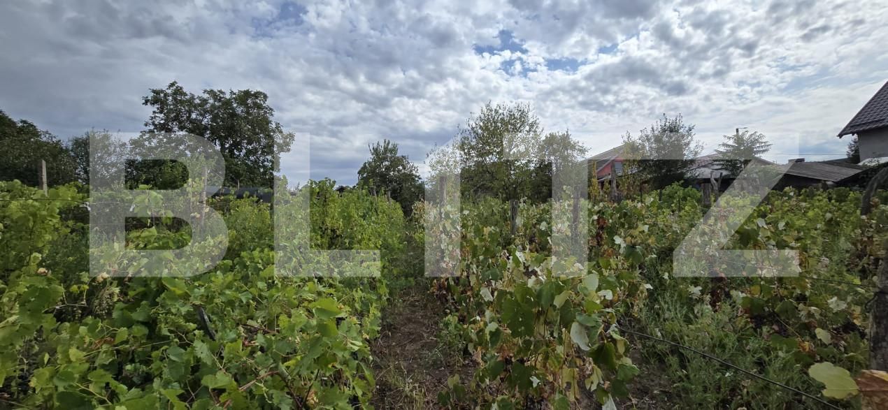 Teren de vânzare Carcea  - 159823TV | BLITZ Craiova | Poza4