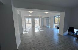 Spatiu comercial, 90mp, Brazda Lui Novac