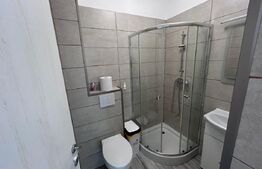 Spatiu comercial, 90mp, Brazda Lui Novac