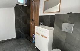 Casă 3 camere P+M, prima închiriere, 105 mp curte, Lascăr Catargiu