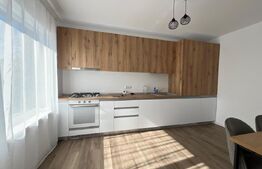Casă 3 camere P+M, prima închiriere, 105 mp curte, Lascăr Catargiu