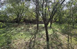 Teren intravilan 3981 mp, front 37 metri, Bradesti