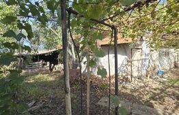 Teren intravilan 3981 mp, front 37 metri, Bradesti