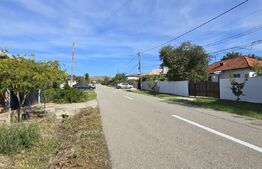 Teren intravilan 3981 mp, front 37 metri, Bradesti