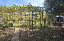 Teren intravilan 3981 mp, front 37 metri, Bradesti