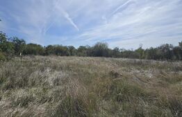 Teren intravilan 3981 mp, front 37 metri, Bradesti