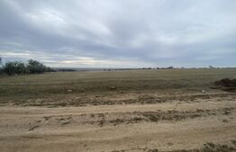 Teren partial intravilan 15000 mp, deschidere 136 m, zona Padure Cosoveni