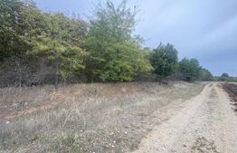 Teren partial intravilan 15000 mp, deschidere 136 m, zona Padure Cosoveni