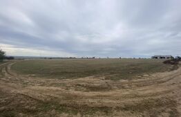 Teren partial intravilan 15000 mp, deschidere 136 m, zona Padure Cosoveni