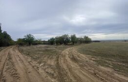 Teren partial intravilan 15000 mp, deschidere 136 m, zona Padure Cosoveni