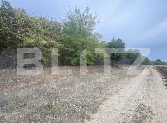 Teren de vânzare Est - 160120TV | BLITZ Craiova | Poza1