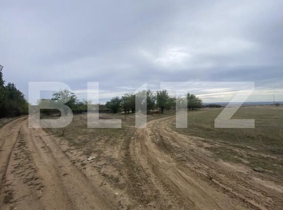 Teren de vânzare Est - 160120TV | BLITZ Craiova | Poza4