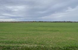 Teren intravilan 12500 mp, deschidere 32m, zona Selgros/Preajba sat