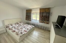 Apartament 2 camere 60mp, centrala termica, Cartier Popoveni