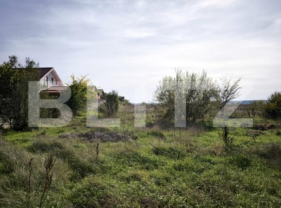 Teren de vânzare Brestei - 160359TV | BLITZ Craiova | Poza2