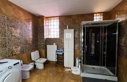 Vilă de 469 mp utili, teren 1.200 mp cu garaj și piscină, Centura de Nord