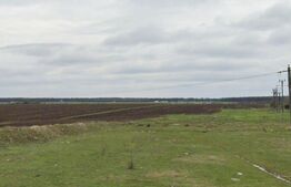 Teren intravilan industrial 9976 mp, deschidere dubla 23,7 m zona Bucovat