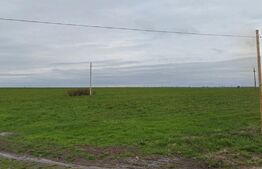 Teren extravilan 16000 mp, deschidere dubla 41 m, zona Leamna de Sus 