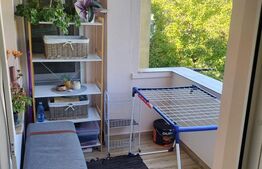 Apartament de 3 camere decomandat, zona Paltinis