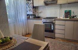 Apartament de 3 camere decomandat, zona Paltinis