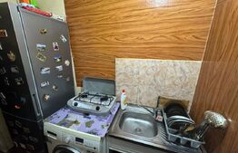 Camera de camin de 18 mp la parter  tranformata in Garsoniera , zona Brestei