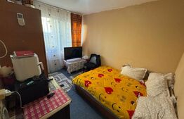 Camera de camin de 18 mp la parter  tranformata in Garsoniera , zona Brestei