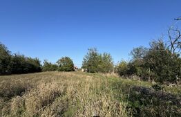 Casă cu anexe, 134 mpc, teren 2.440 mp, front 44 m, Giubega