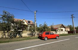 Casă cu anexe, 134 mpc, teren 2.440 mp, front 44 m, Giubega