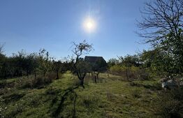 Casă cu anexe, 134 mpc, teren 2.440 mp, front 44 m, Giubega